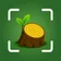 Tree Identifier: WoodBot icon